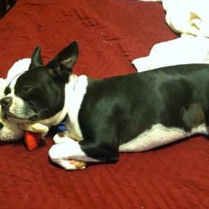 Meet your Posher, Becky